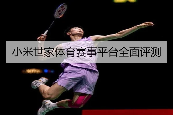 小米世家体育赛事平台全面评测